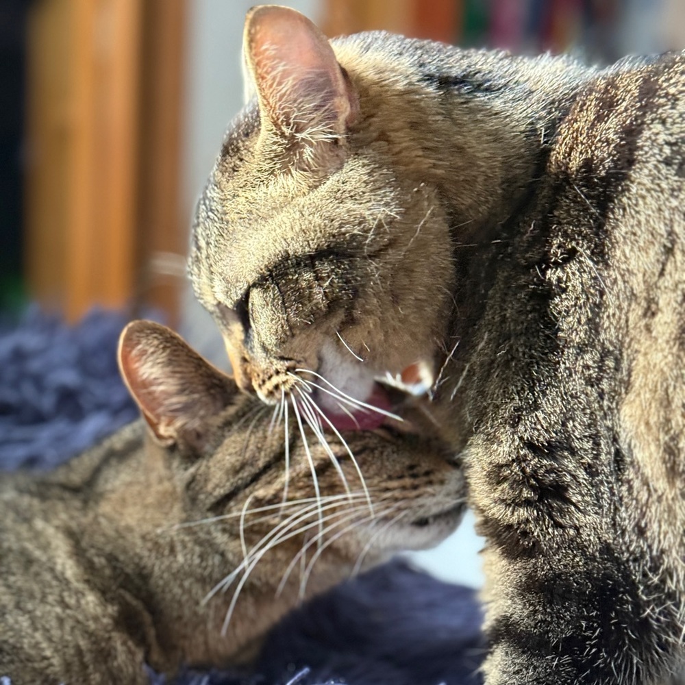 Meet your Posher, Kathleen